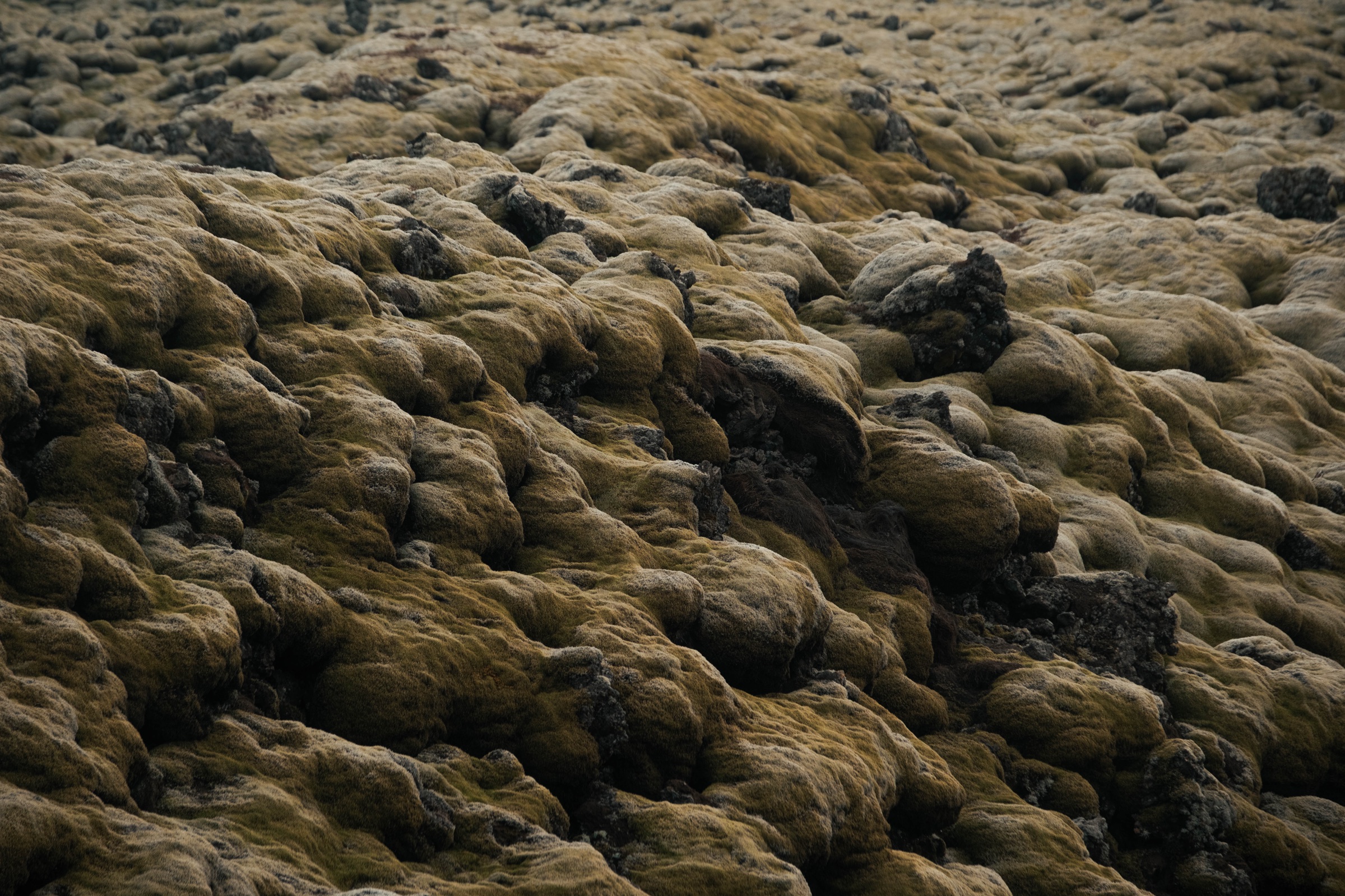 Rocce ricoperte di muschio nel paesaggio islandese, fotografia di Pierpaolo Paluan